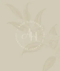 Anna Holden - double alt logo feature Right-100