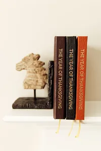 the year of thanksgiving journals lines up neatly on shelf