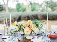 sallypinera_table_close