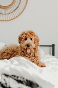 brooke-cagle-FzY8WDs-_78-unsplash