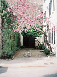 charleston-6