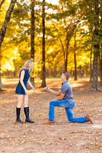 proposal-81