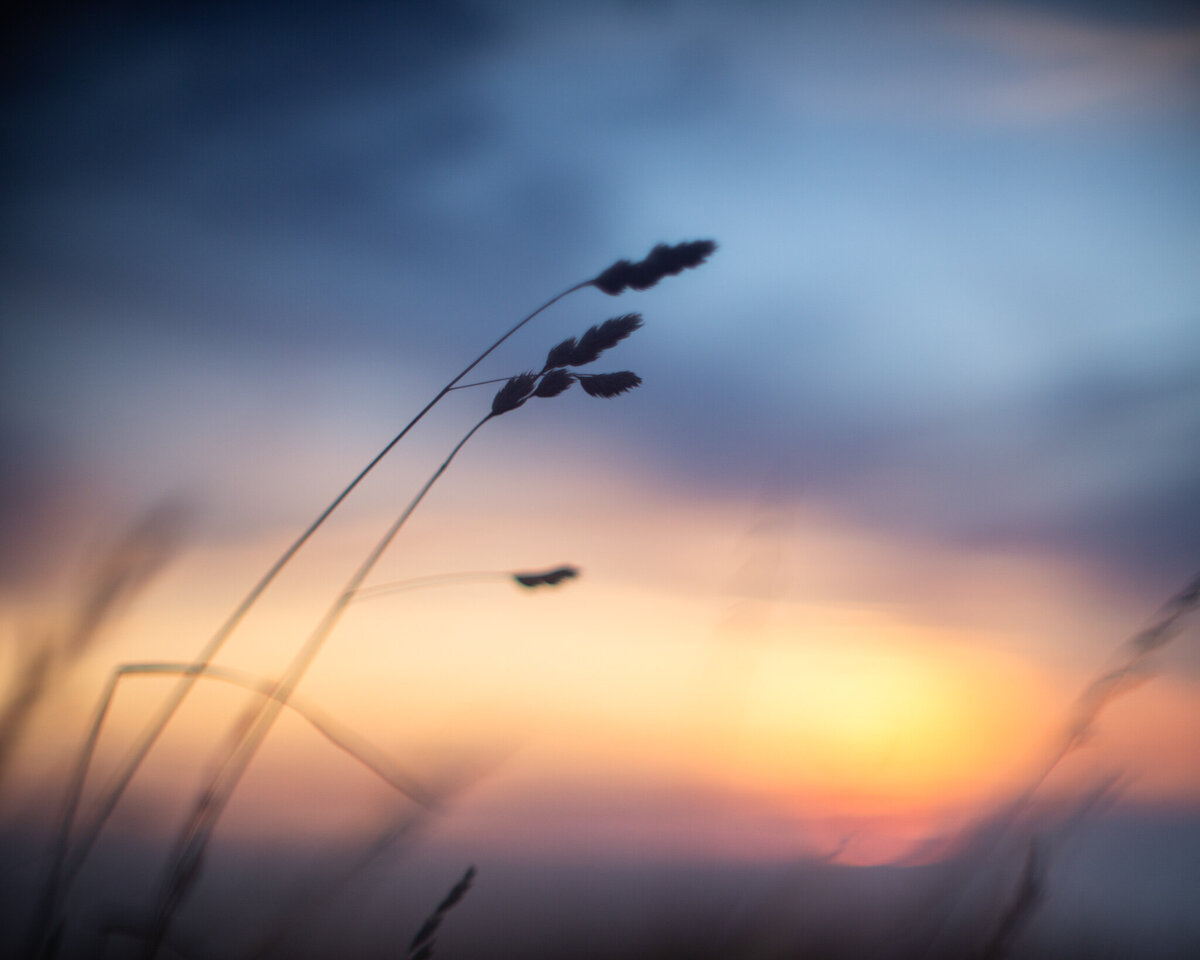fine_art_photographer _008