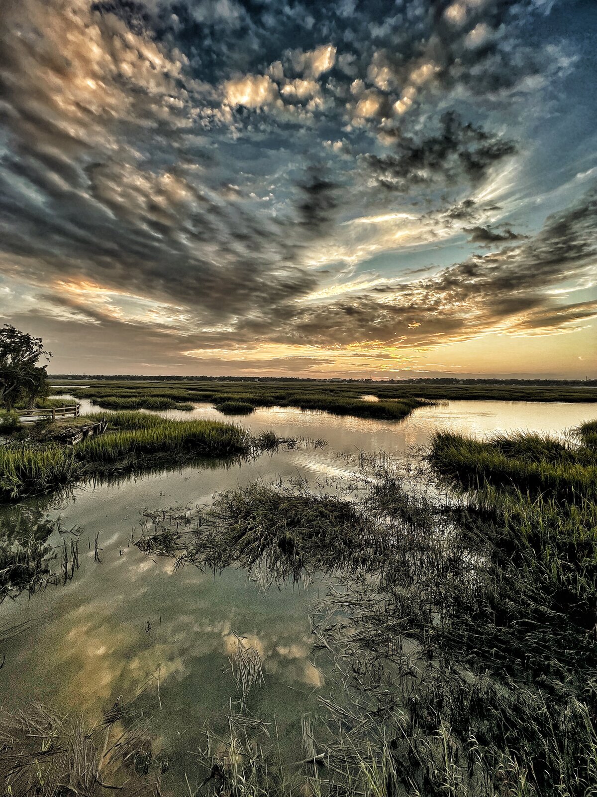 Ladys Island