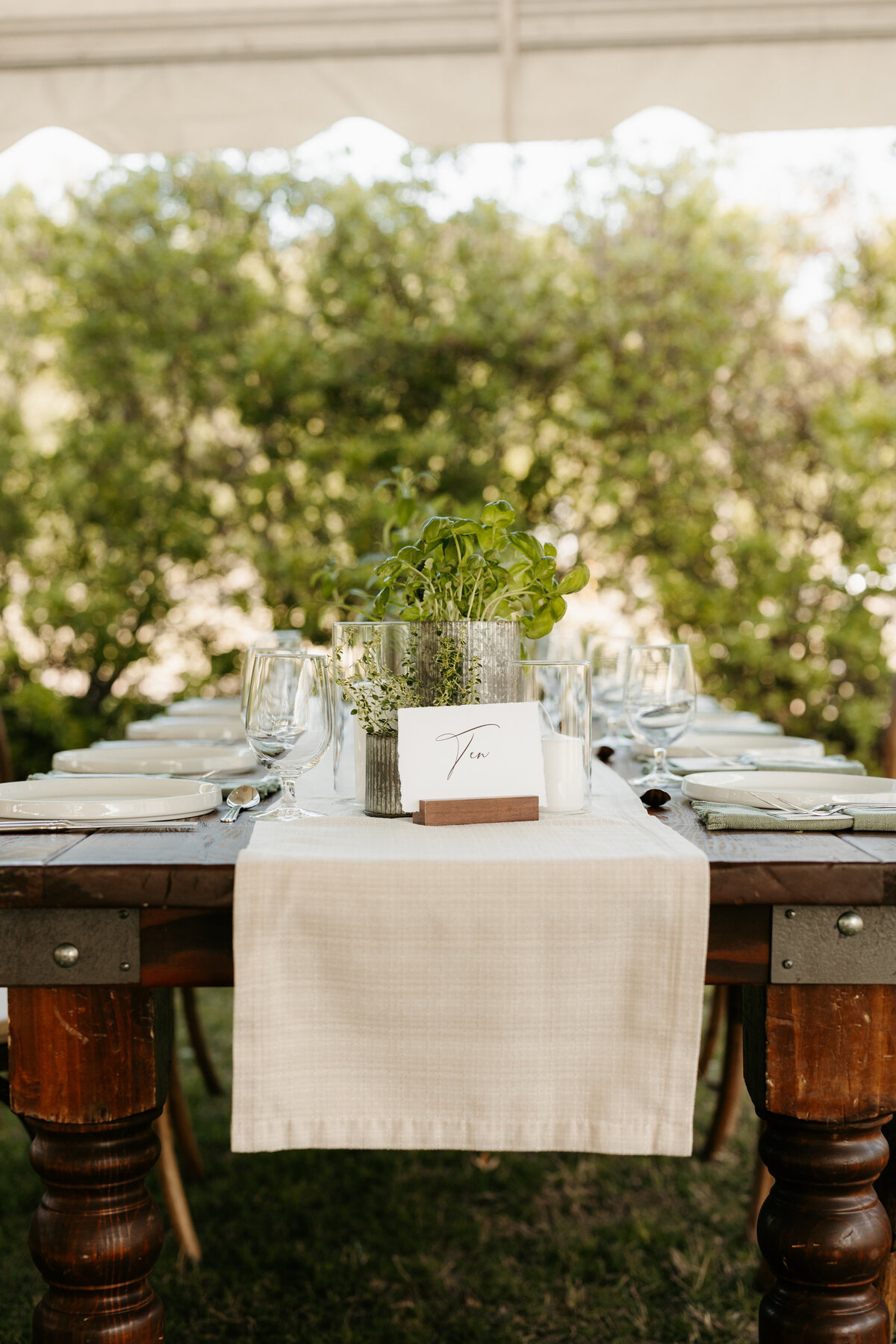 garden party farm table