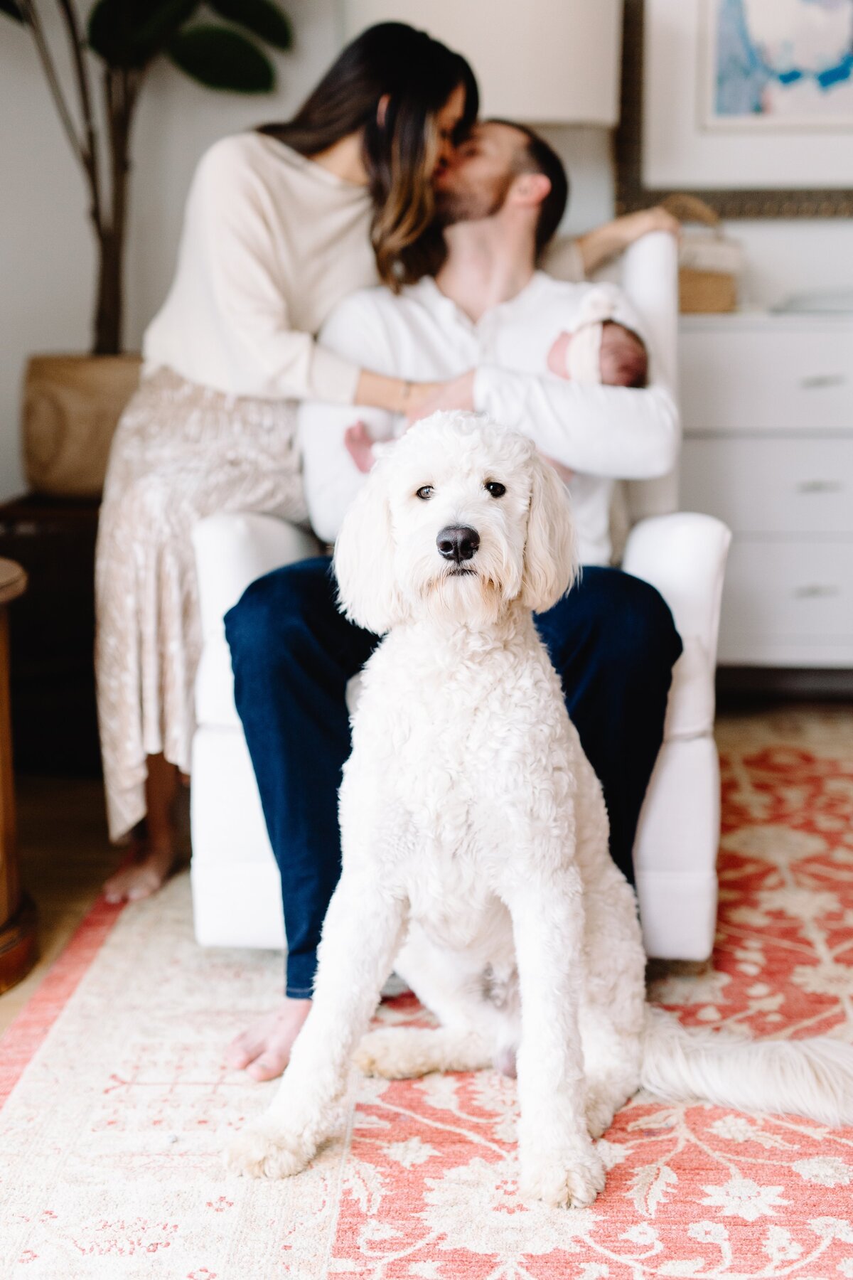 RaleighNewbornPhotographer-1