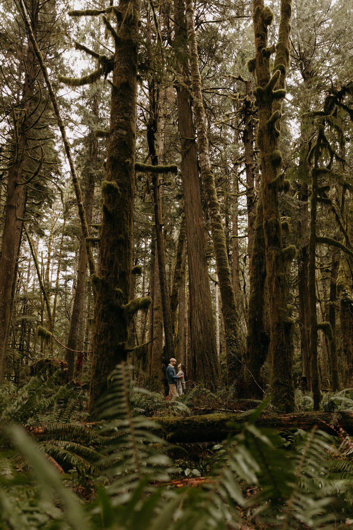 LakeCrescent30