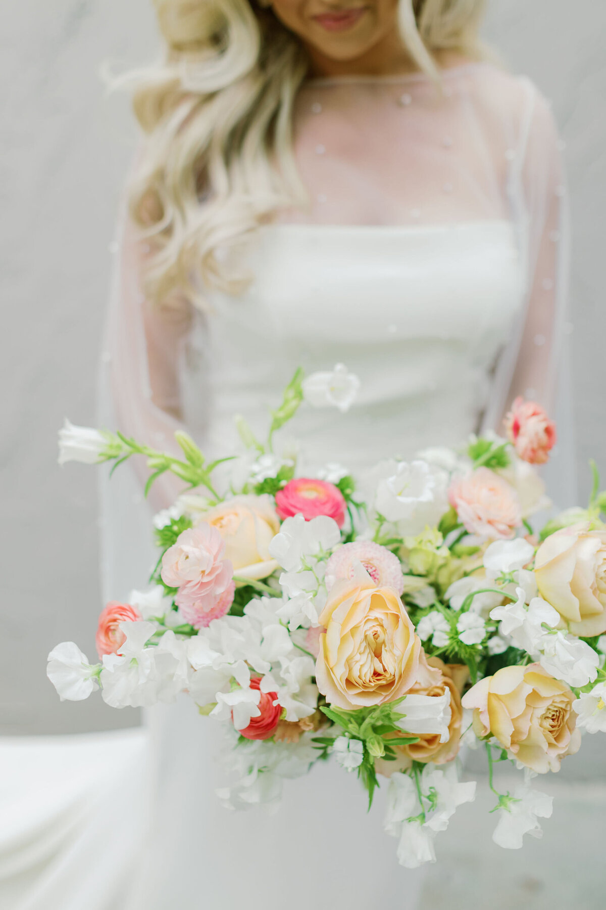 TattolliHighlights-HaleyJanePhotography5