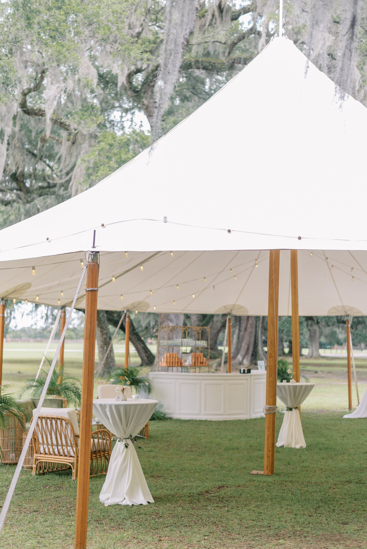 Spring Wedding at Middleton Place in Charleston (34)