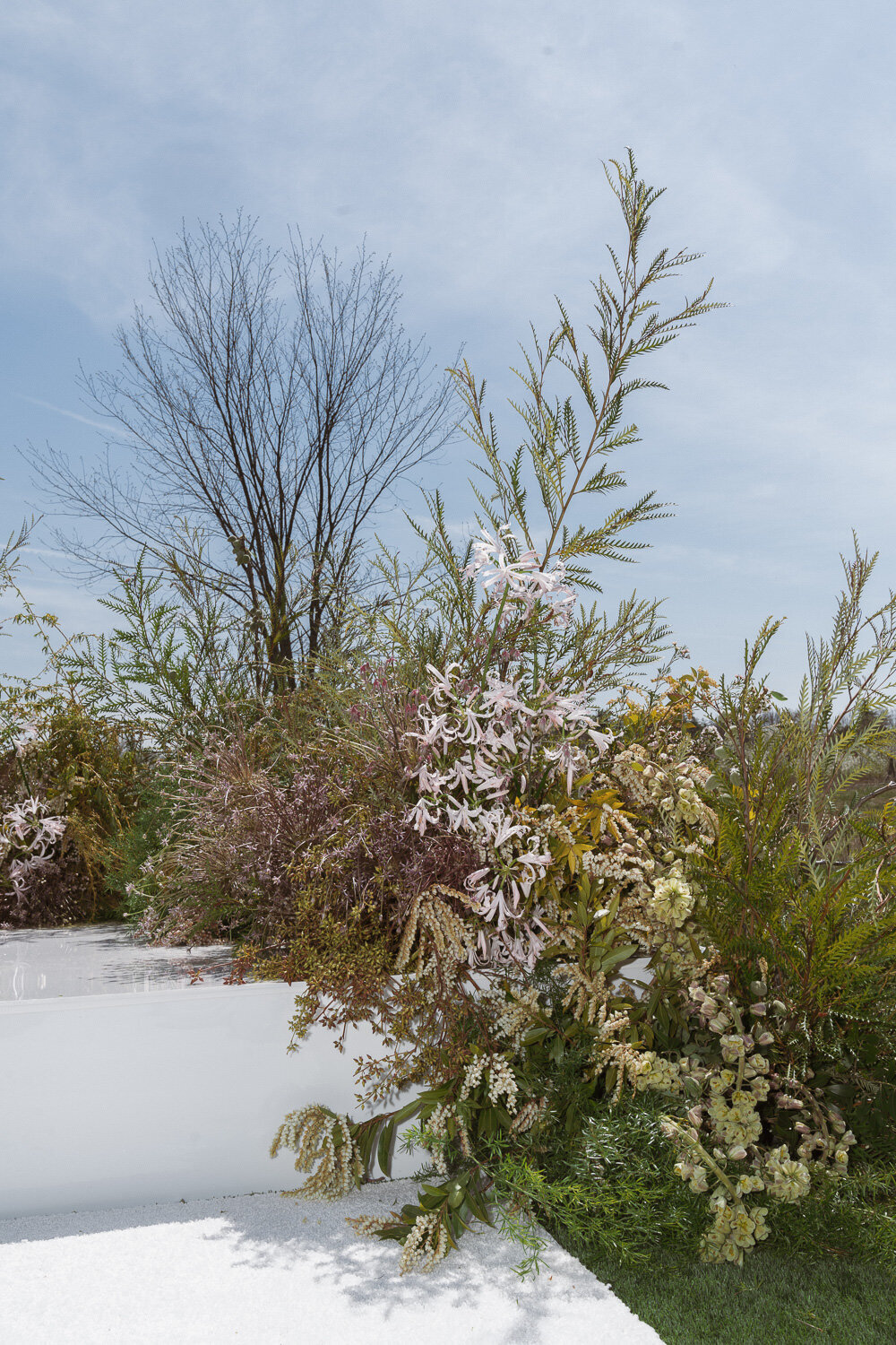wildflower-web--112