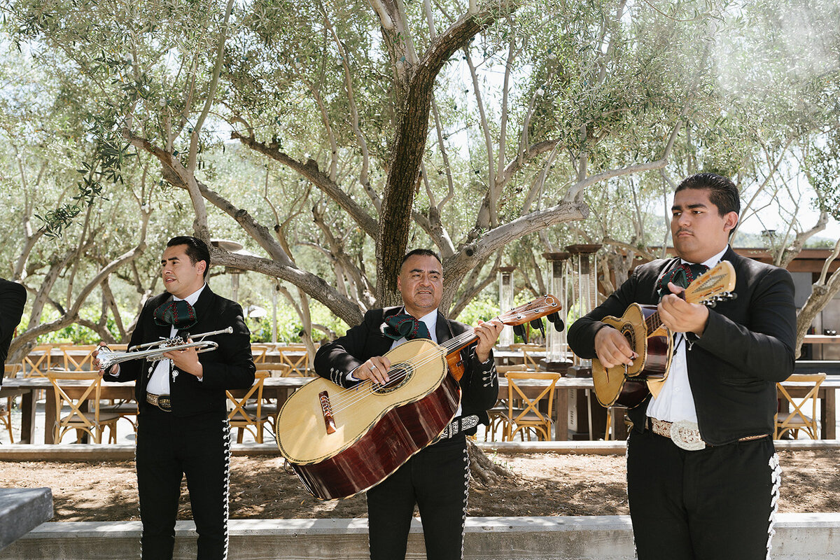 MoHi-Wedding-Dia-Photography-426