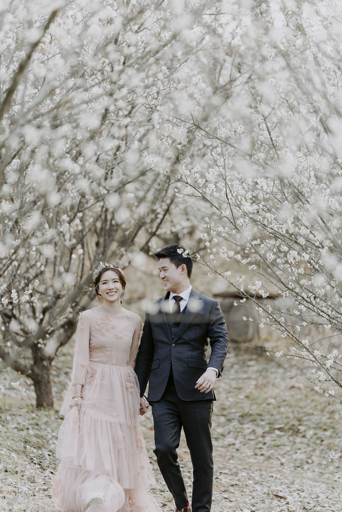 a couple walking and holding hands between the cherry blossom trees