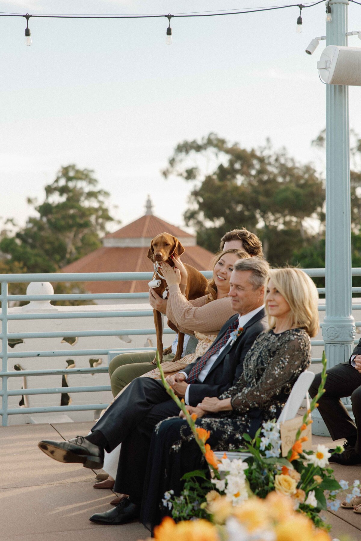 markanddianewedding-248_1_11zon