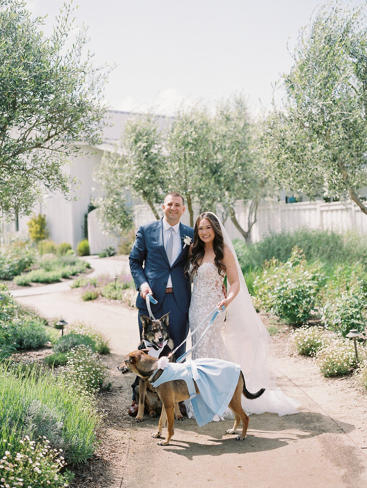 Luxury-Wedding-The-Barn-at-Harrow-Cellars-Sonoma-CA86