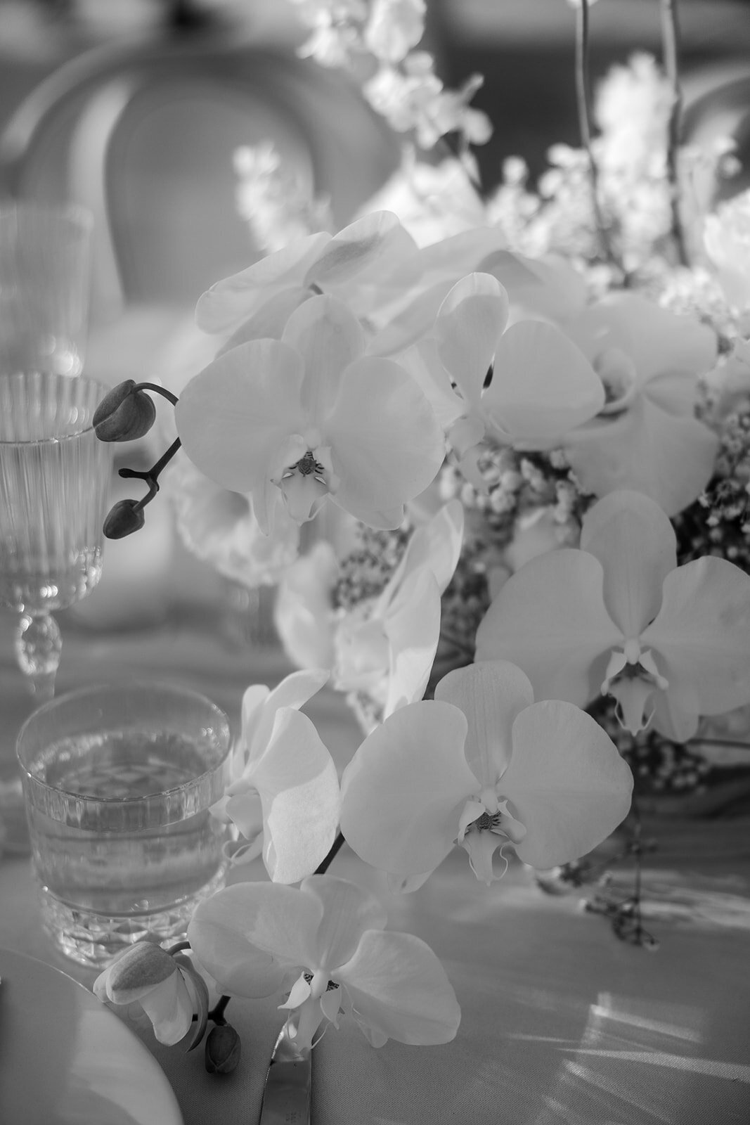 74_Jessica_Samson_Hummingbird Nest Ranch_ Wedding_Alison Rose Events_Wedding Planner