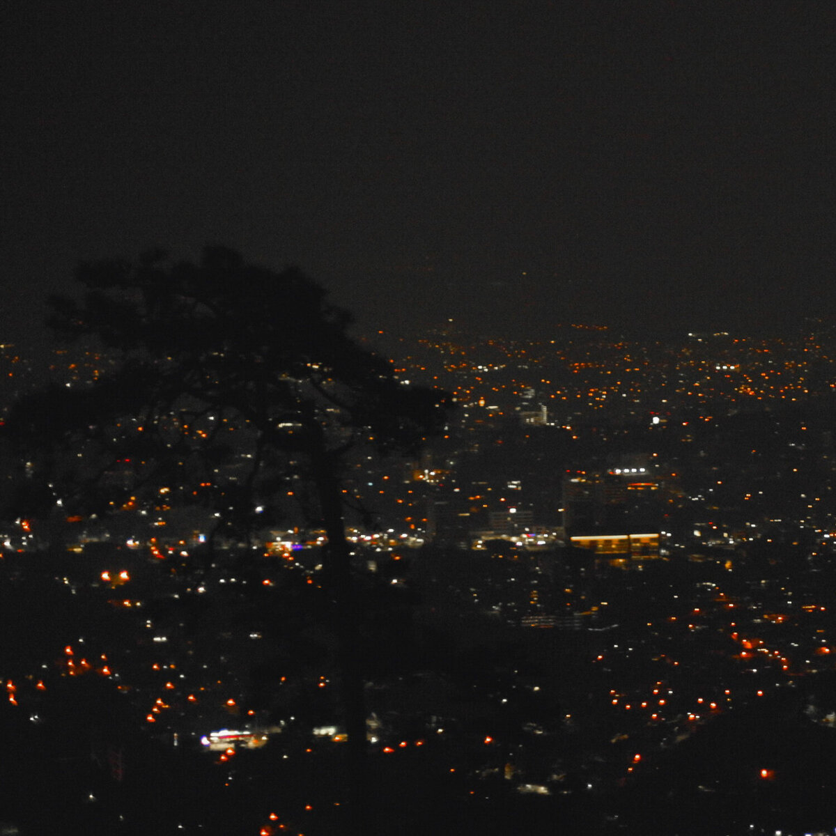 TMAI_Photos0035