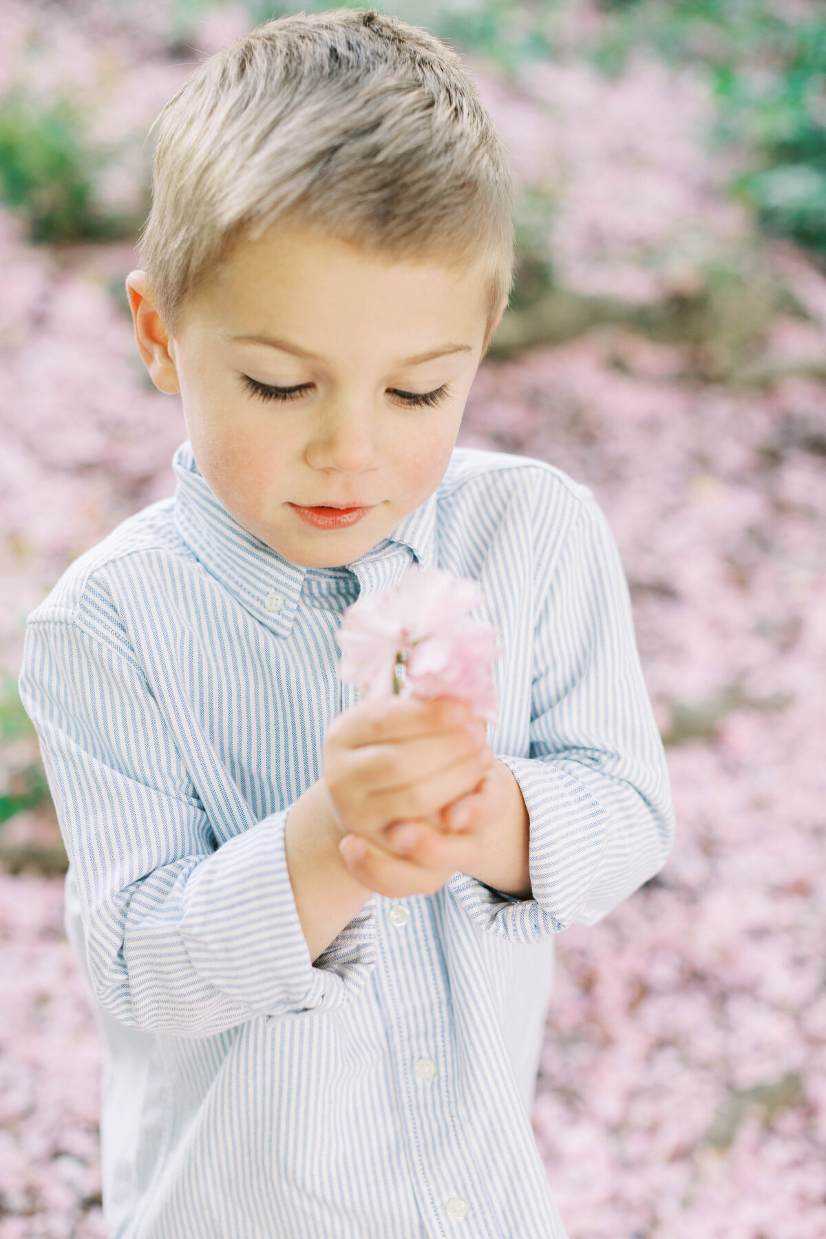spring mini-54