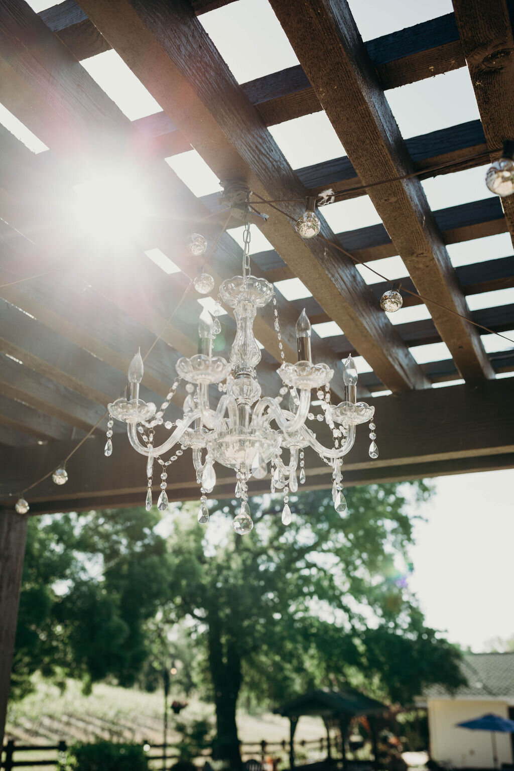 Rancho Victoria Vineyard Wedding 3