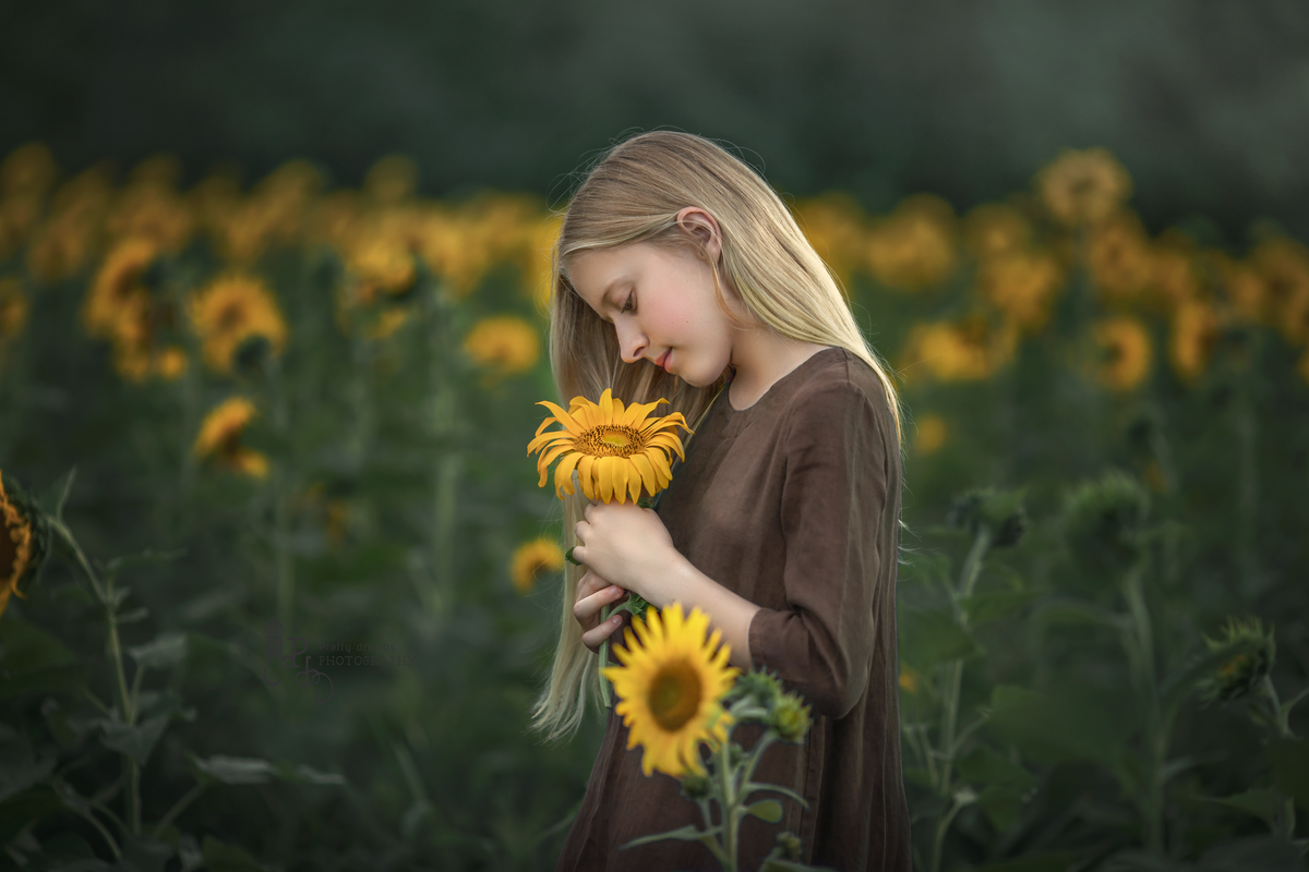A young girl dressed in a calm brown stands in the middle of a sunflower field holding a sunflower. Located in Ottawa Ontario.
