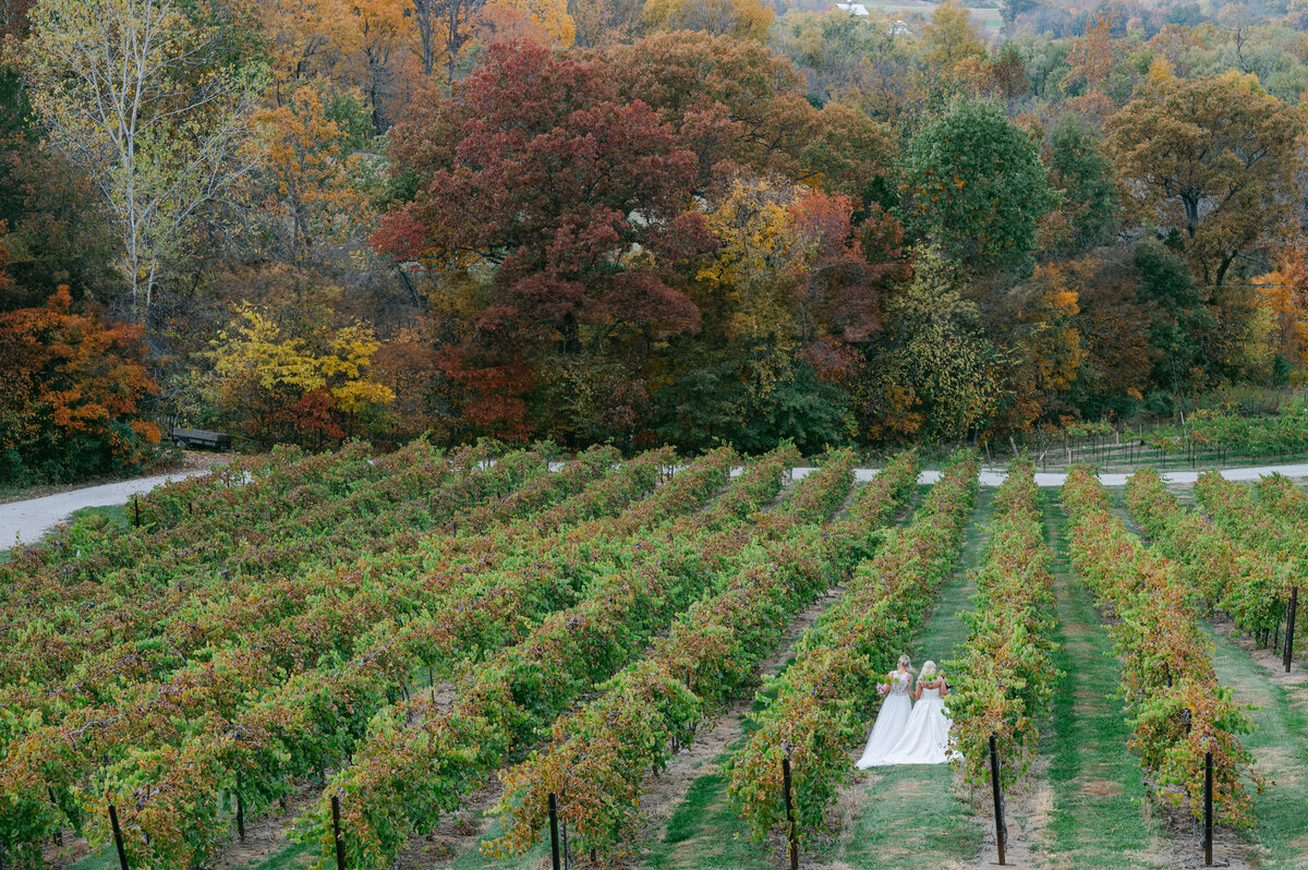 Chicago-wedding-photographer-17