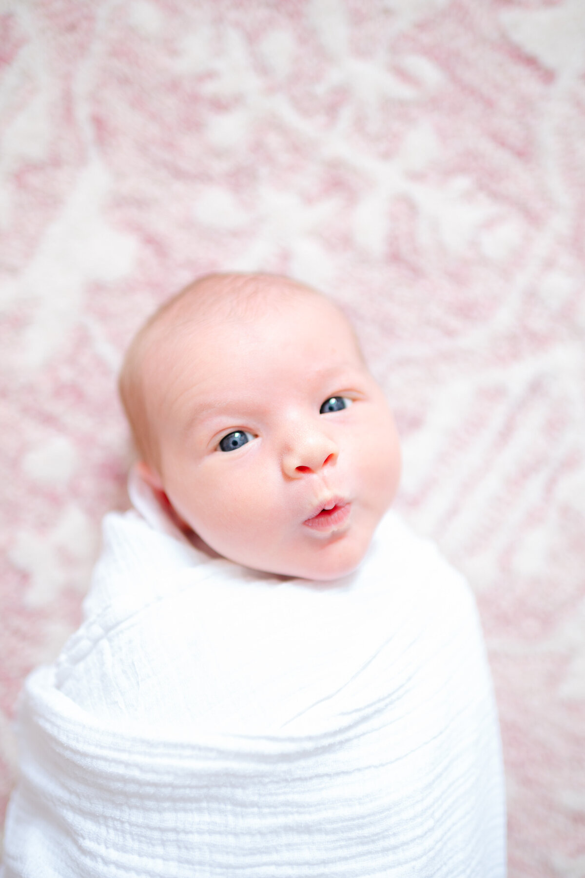 newborn photography cave springs-2222