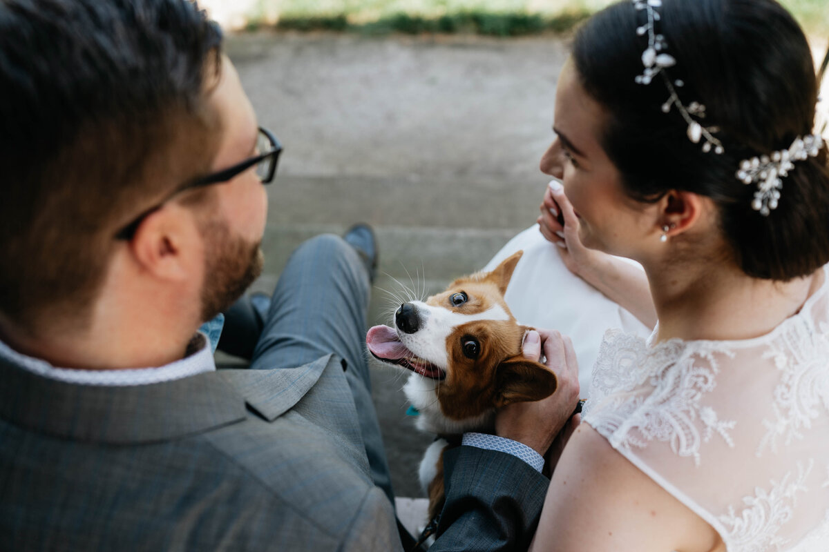 Bride and groom with dog