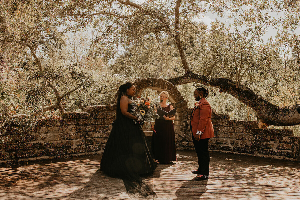 mad-images-photo-boyd-hill-florida-elope-chantilly-chic-celebrations-goth-wedding-1