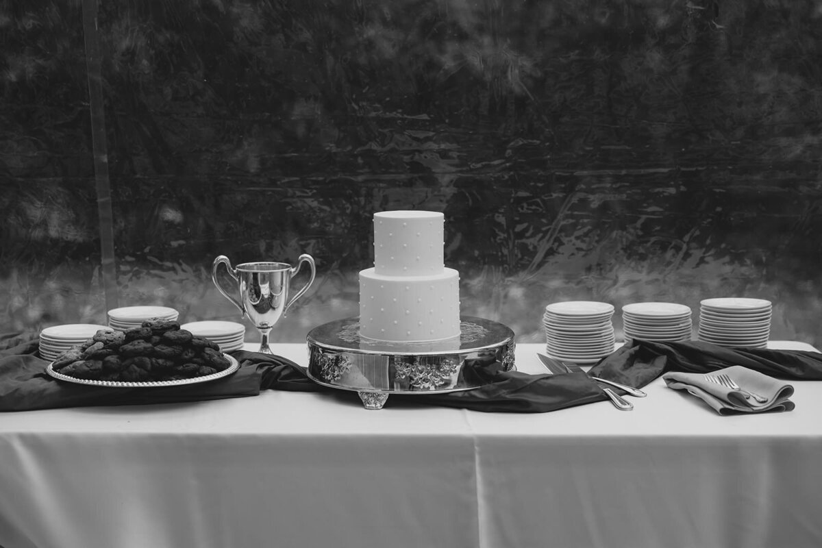 asheville_north_carolina_wedding_photographer_101