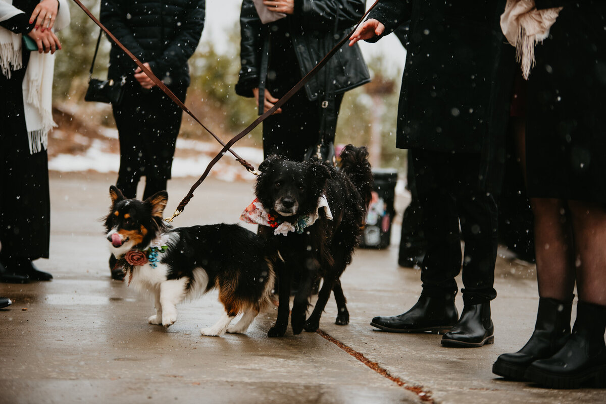 Tony + Andrea Elopement_Arrival-27