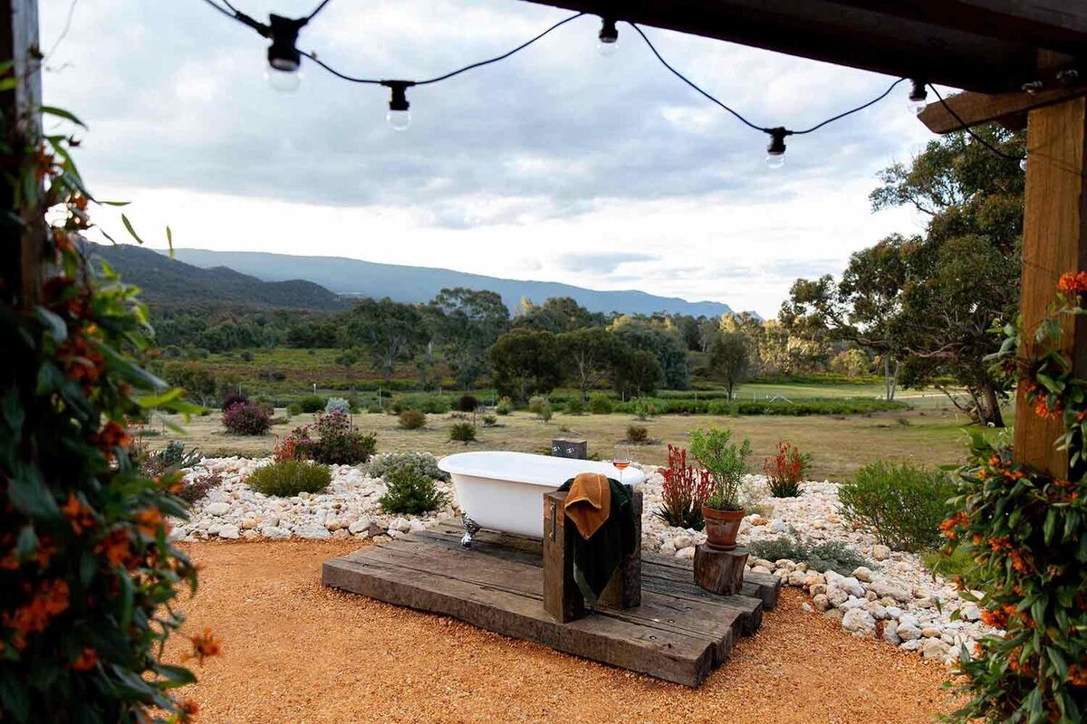 A gallery of photos from the Nook