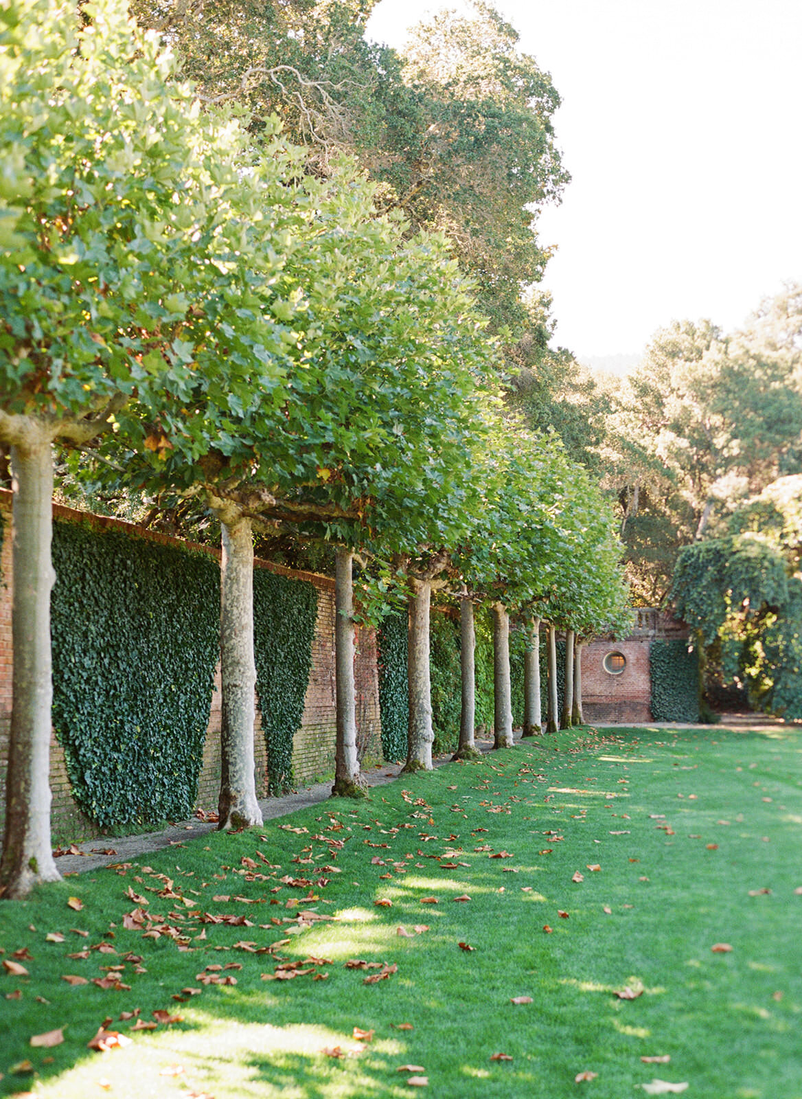 Filoli_SanFransico_Wedding_TaraHodgesPhotography001