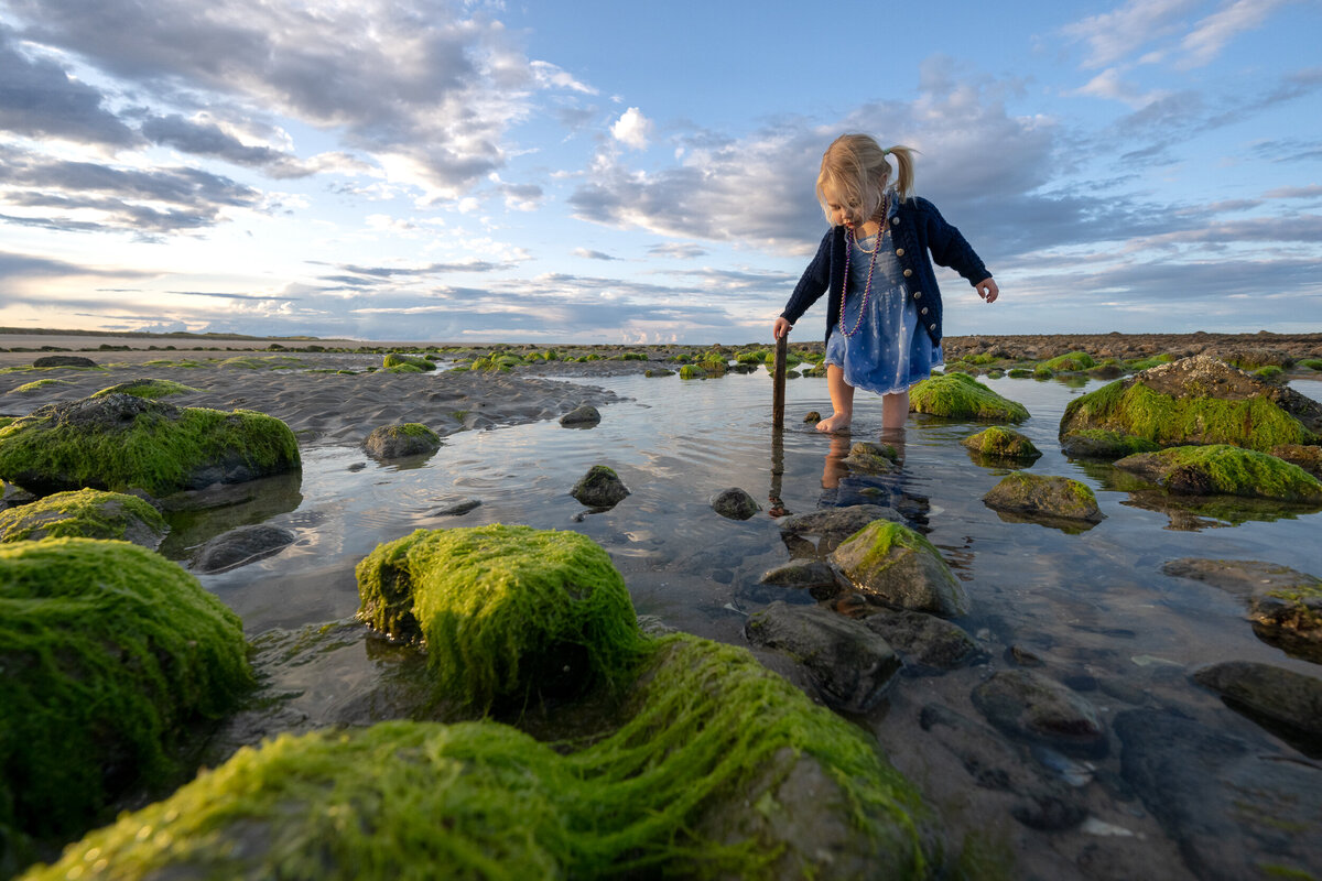 Toddler exploring the beach during a family photoshoot near boston