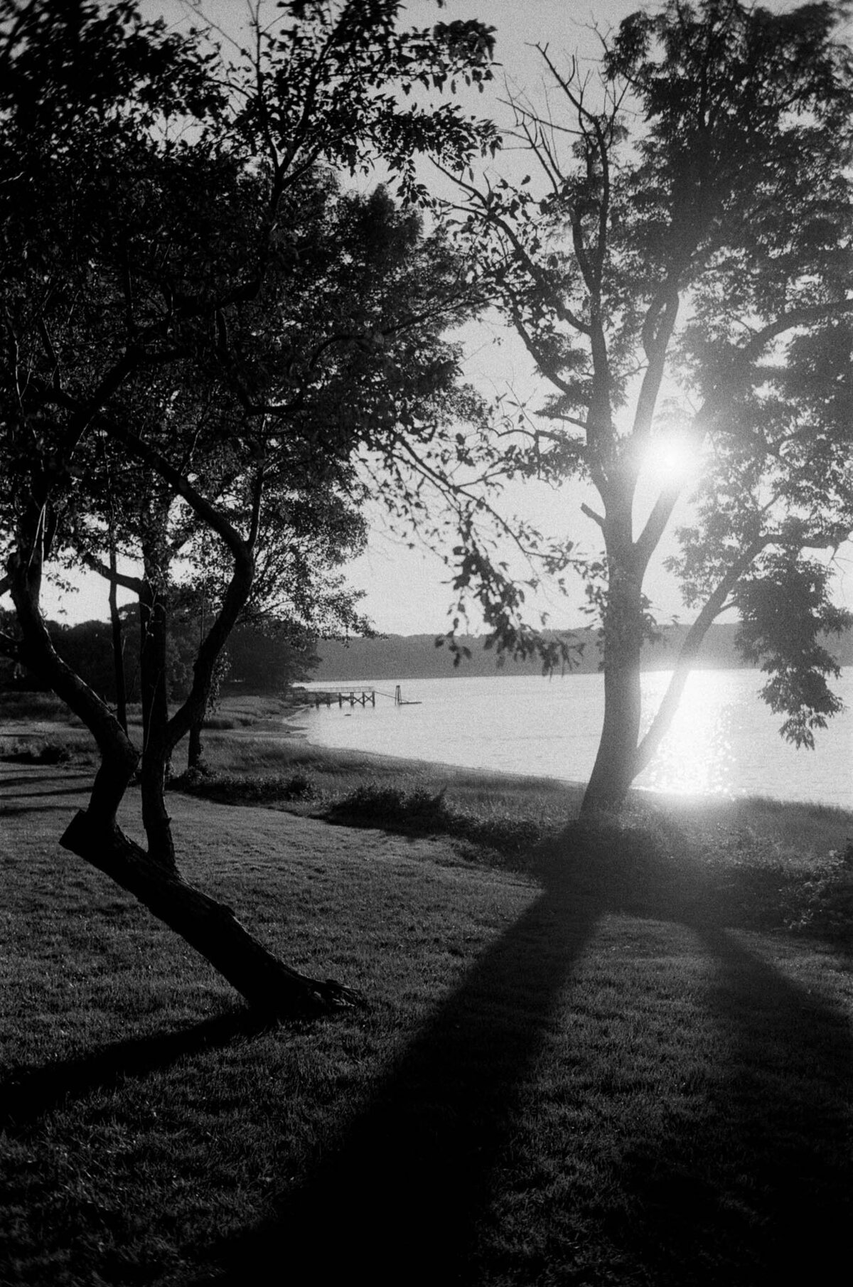 Oyster-Bay-Estate (55)