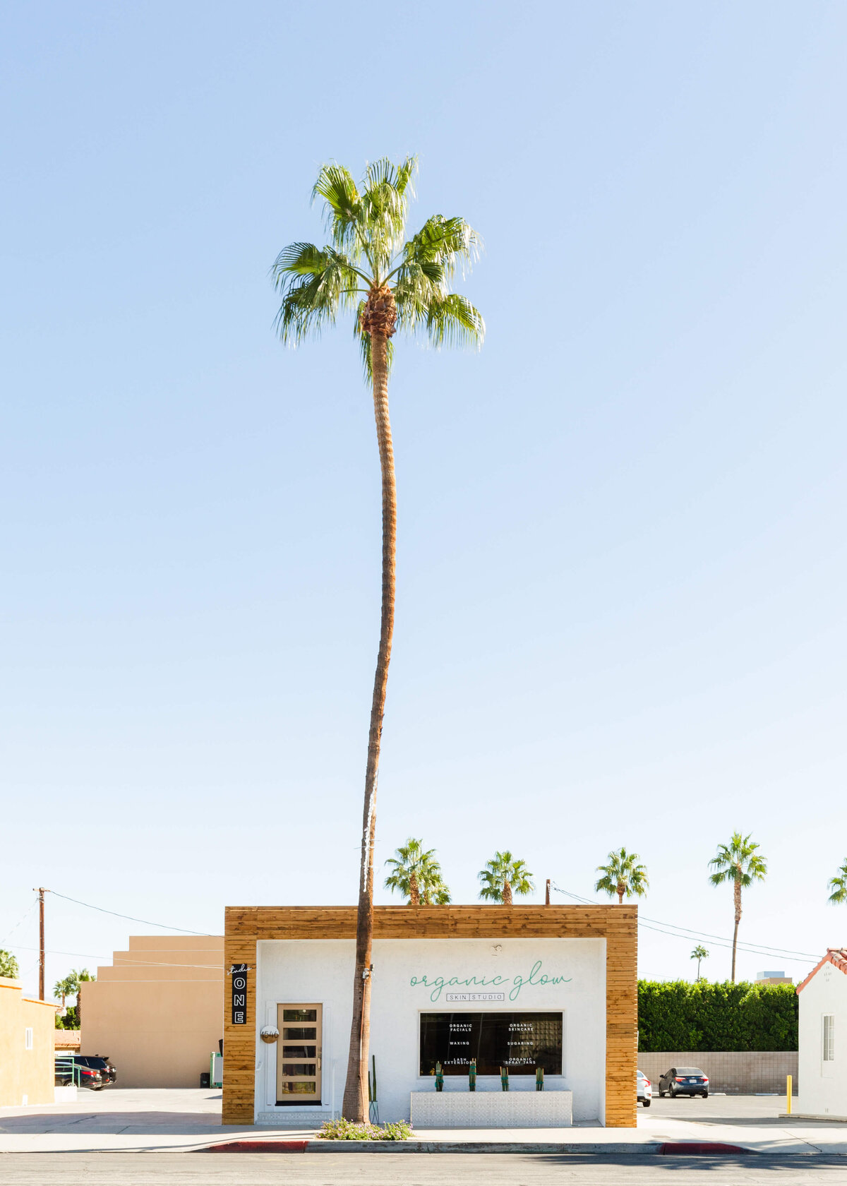 EricaMendenhallPhotographyOrganicGlowSalon_PalmSprings