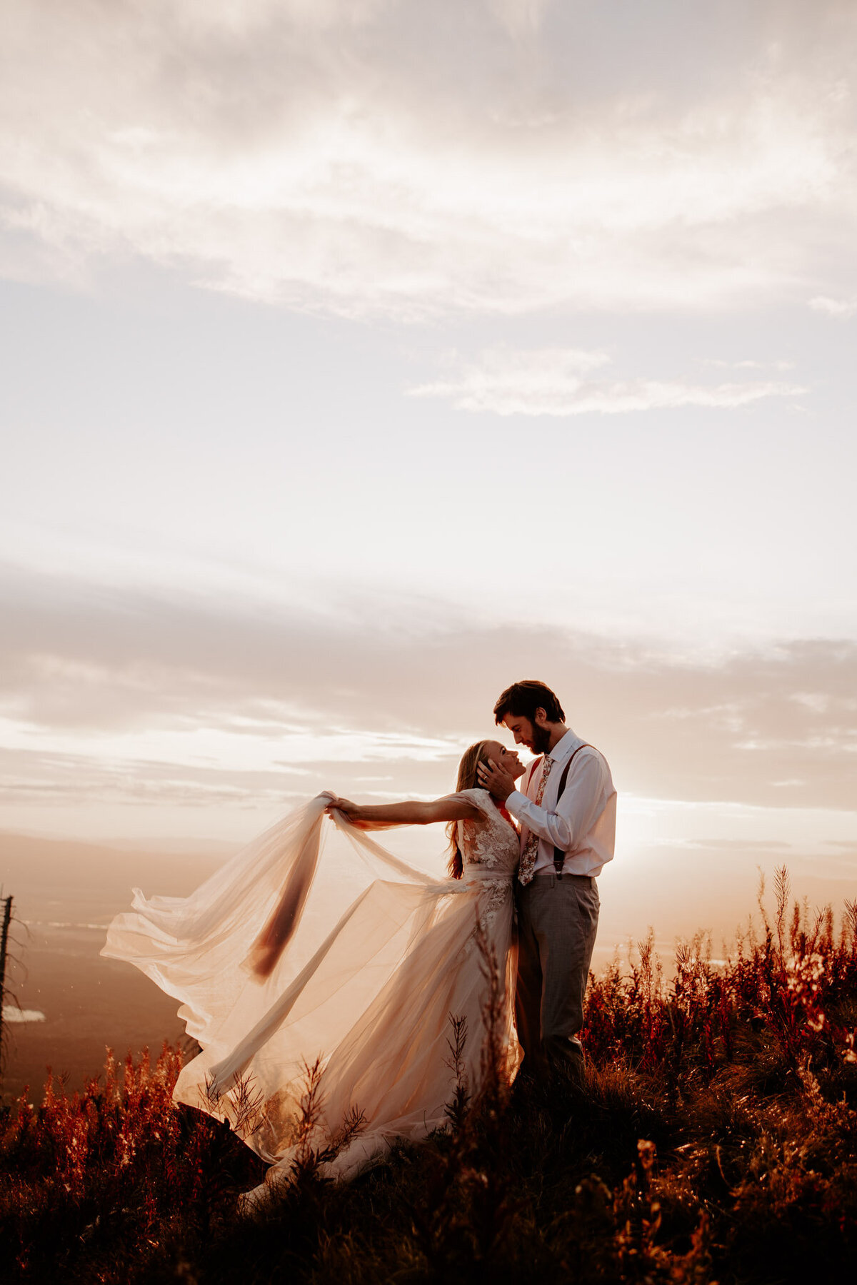 Jackson Hole Elopement Portfolio