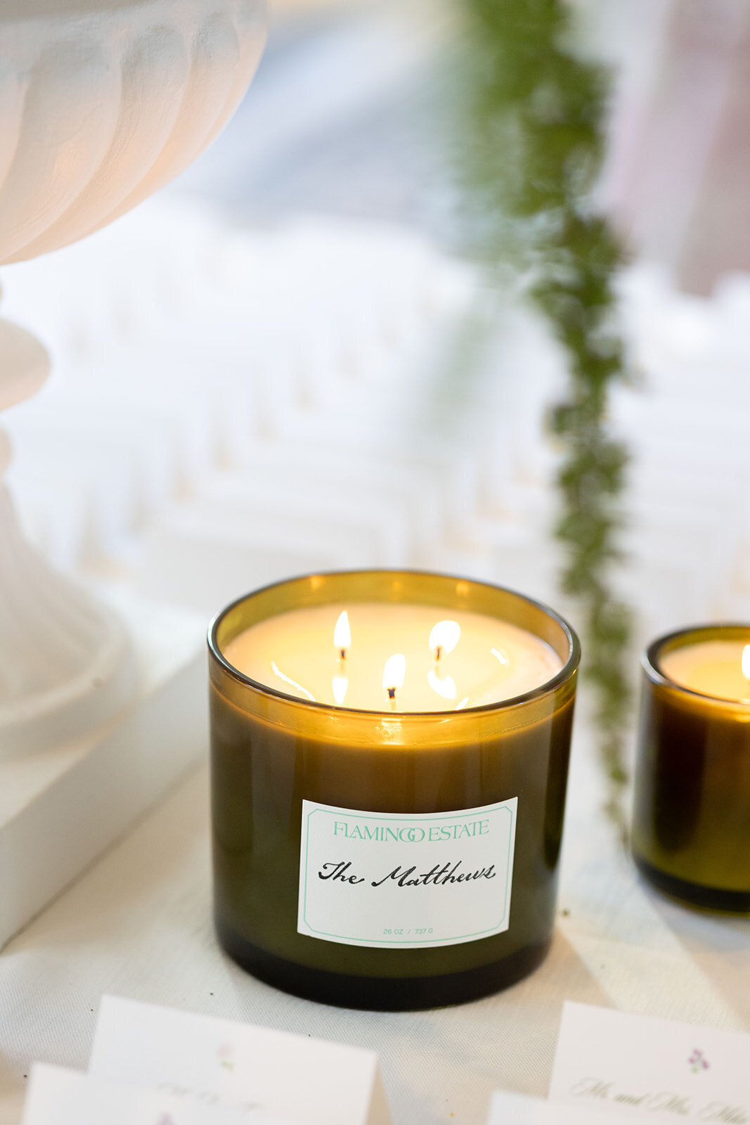 Nicole and Mikey Previews - NPP0037