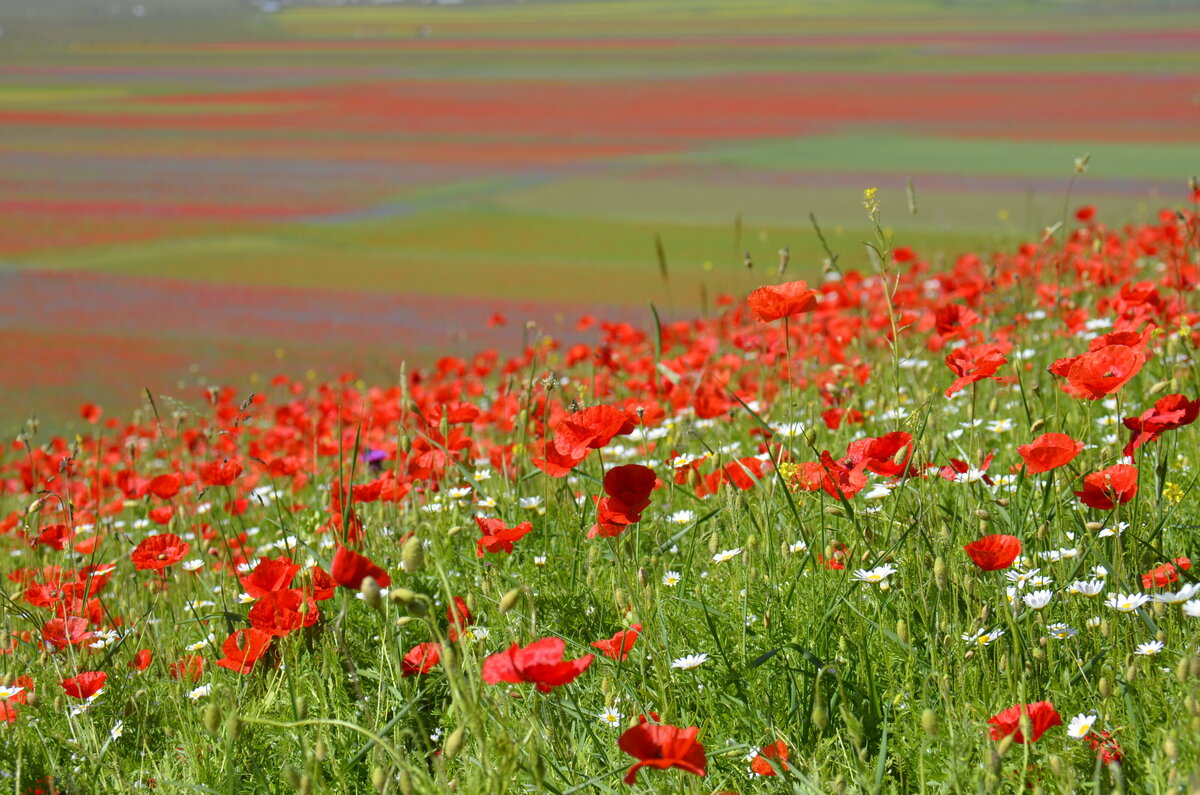 Waterstone - Palazzo Seneca- Norcia - Luxury Boutique Hotel - June 2020 - Bloomng 6