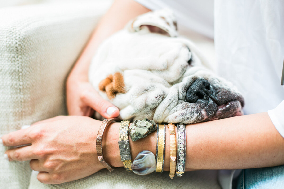 nashville-branding-commercial-photographer-jewelry-bracelet-bulldog
