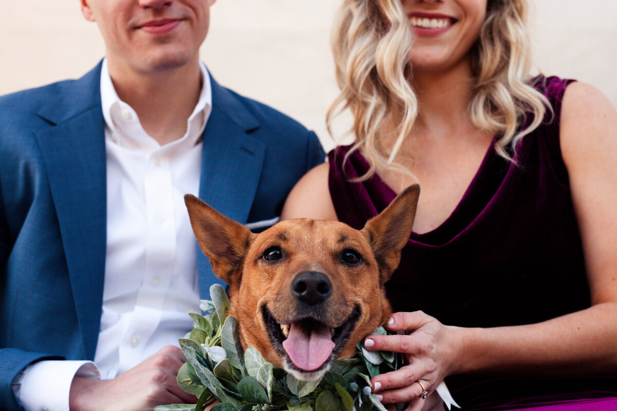 wedding photographer in virginia for couples with dogs