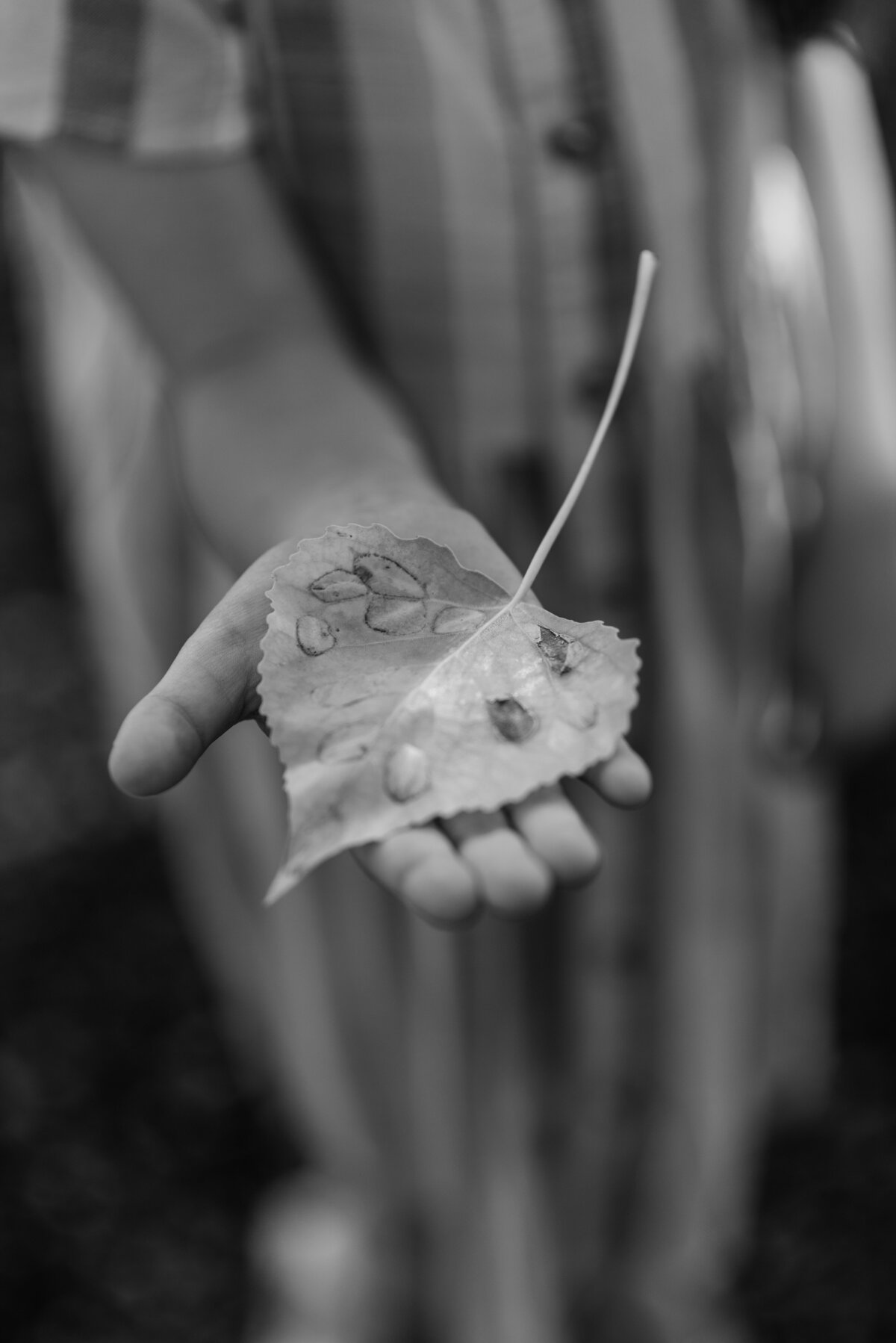 AmandaJonesPhoto-9028
