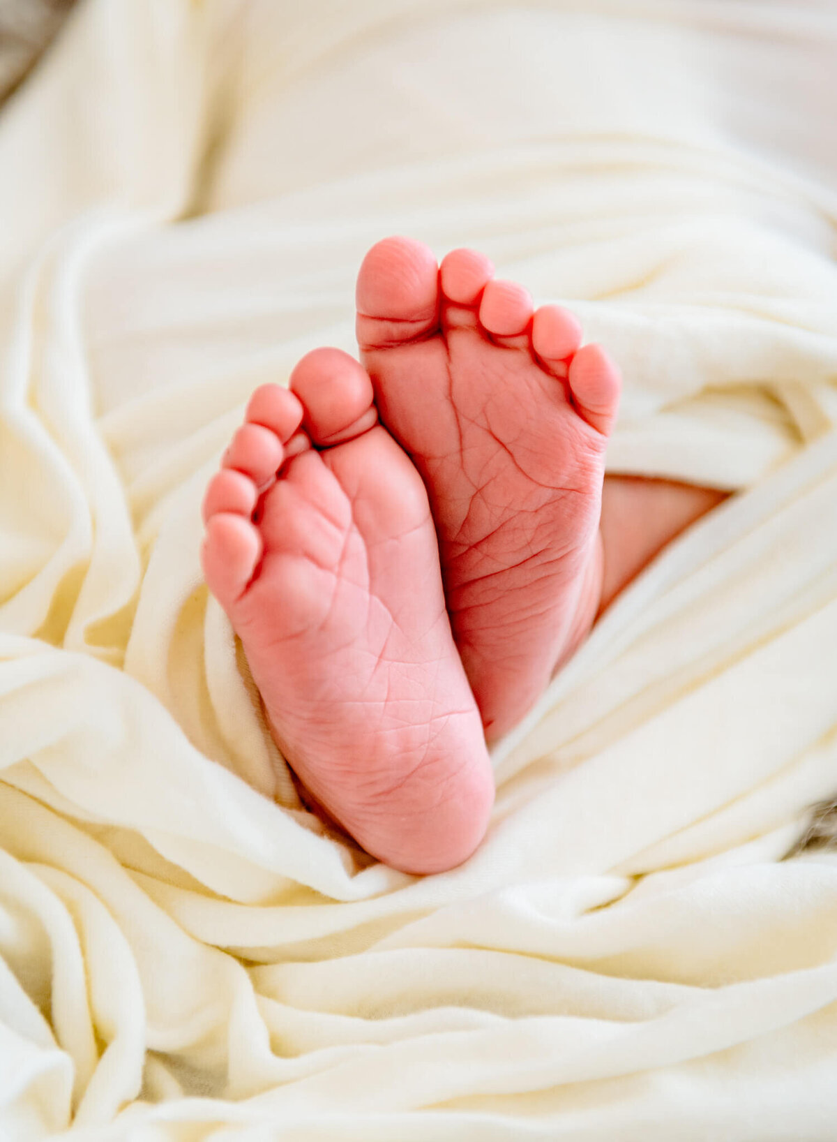 Arizona-Newborn-Photography-117