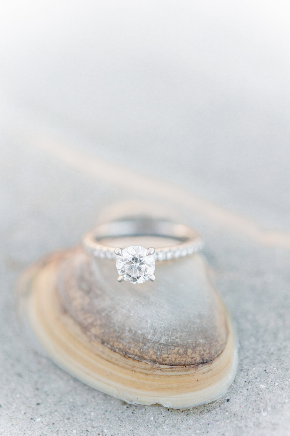 Engagement ring on clam  shell representing Boston engagement photography