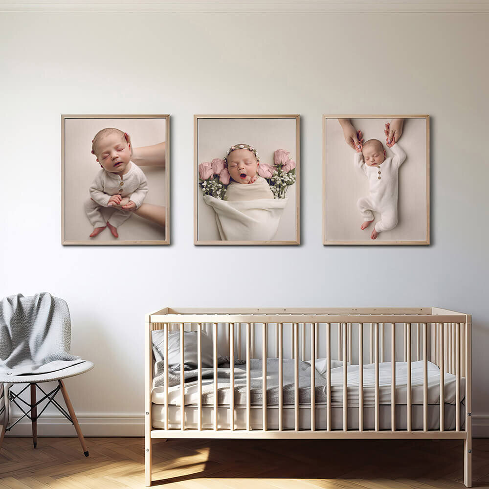 Amanda Camden Photography