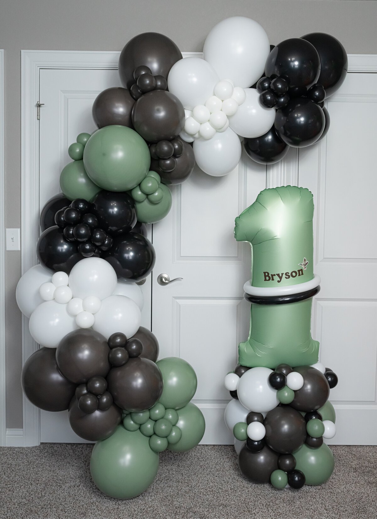 balloons-bismarck-nd-292