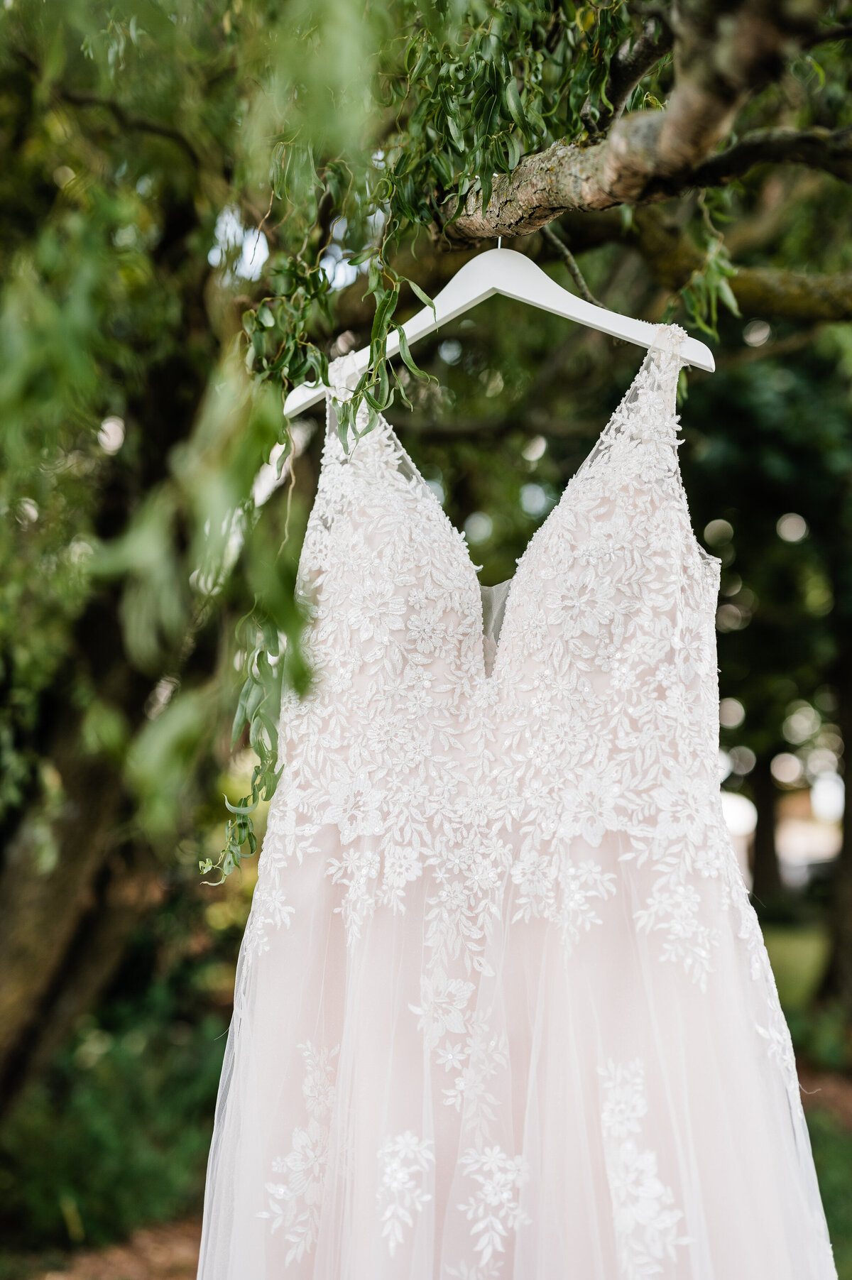 showalter's orchard wedding photos with brides dress hanging from an apple tree captured by Virginia wedding photographer