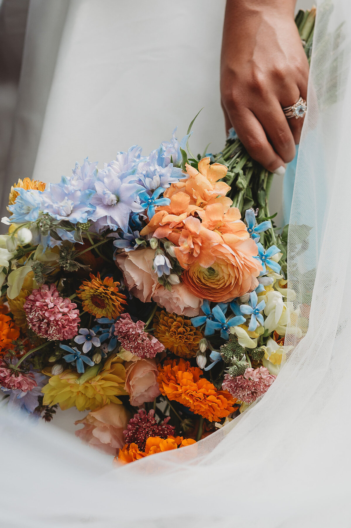 Jessica Sagerty Photography