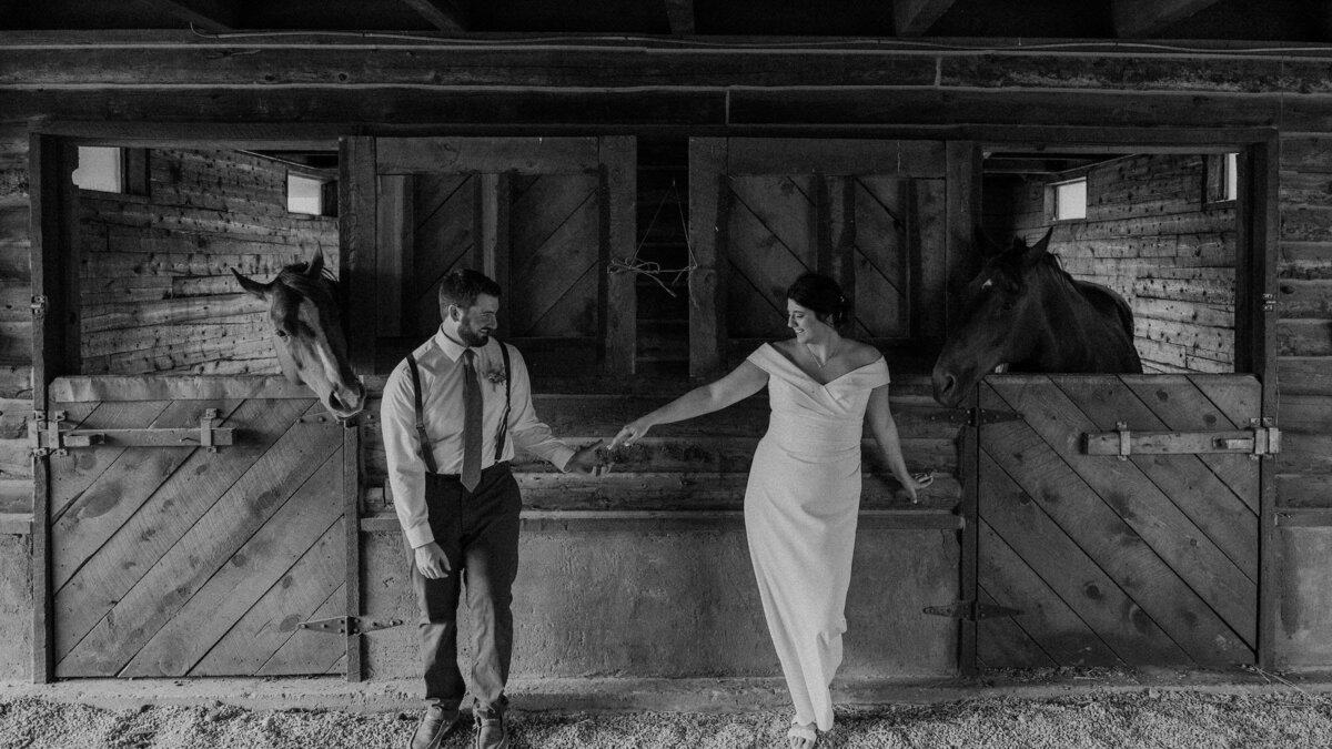 andres-molina-rzhcczEljcQ-unsplash