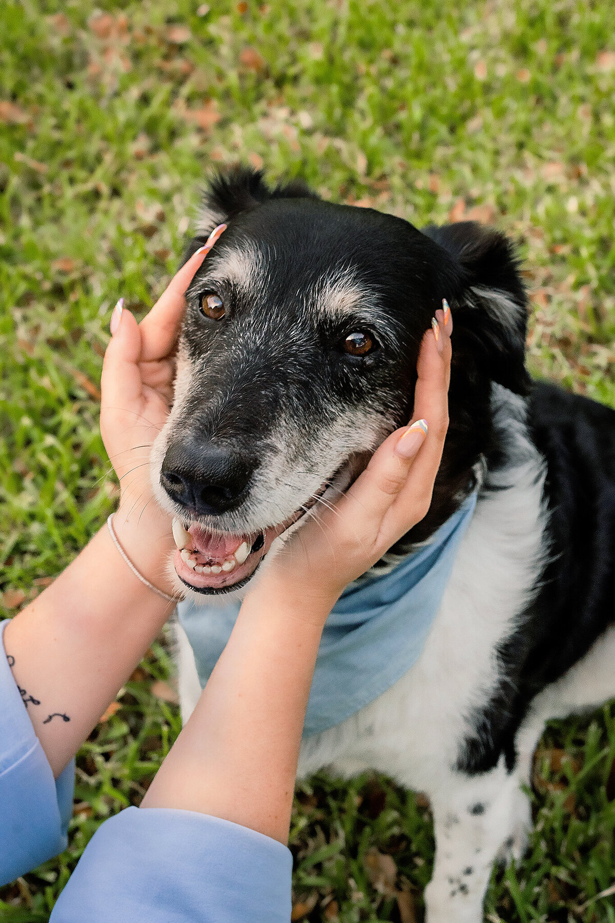 New Orleans Pet Photographer 16