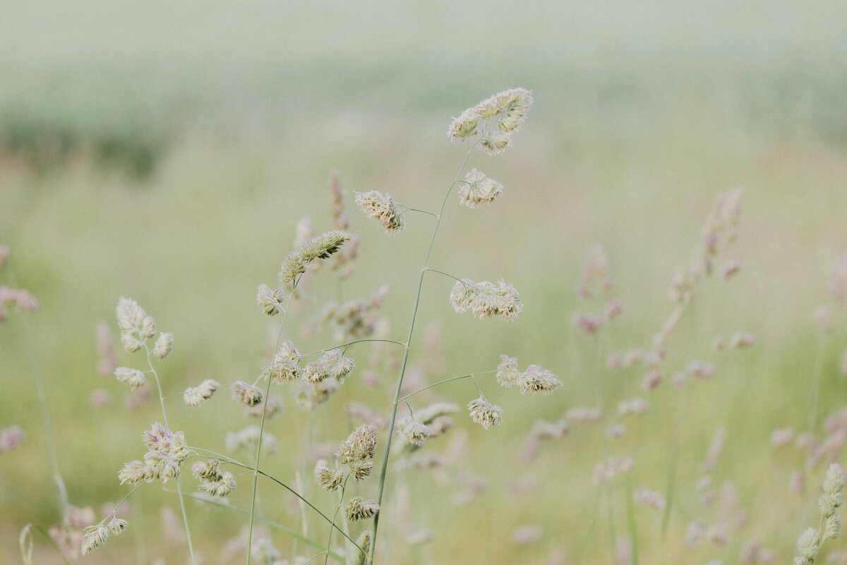 annie-spratt-n4x-NODI3gM-unsplash (1)