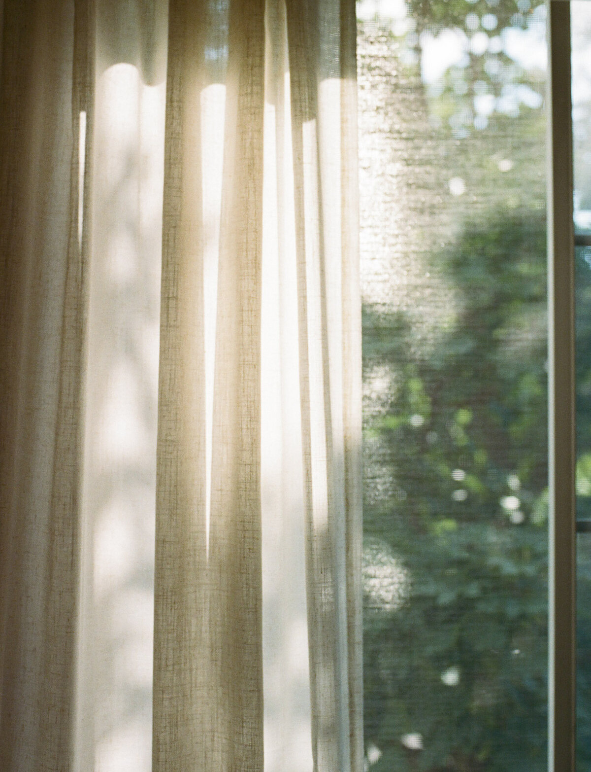 soft transportive photo of morning sunlight through sheer beige curtains, green outside, summer film photo, interior film photography